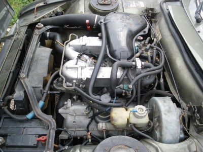 11 10 2008 014.jpg