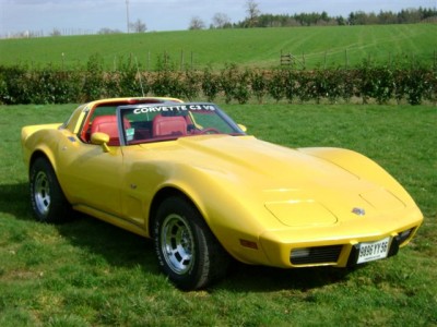 corvette peace car 1978.JPG
