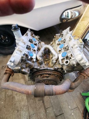 Renault Alpine Renault 25 PRV Motor.JPG
