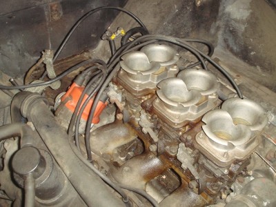 DSC03541_reduced.jpg