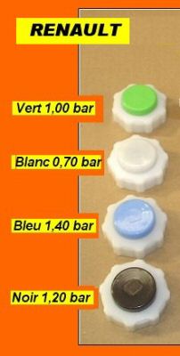 Bouchon Renault.JPG