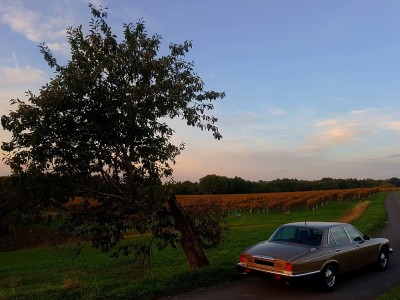 20221029_183828 vv.jpg