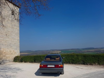 20190324_151012 v.jpg