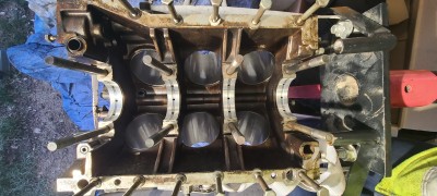 20250830_065826.jpg