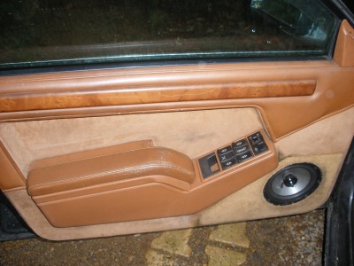 panneau de porte avant.JPG