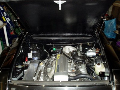 SafRenix1_500x375.jpg